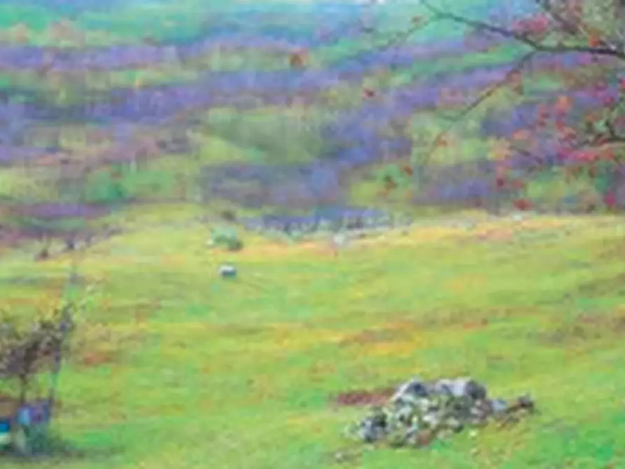 Immagine 3 di Magazzino in vendita  in Località Piazzola Roncola a Roncola