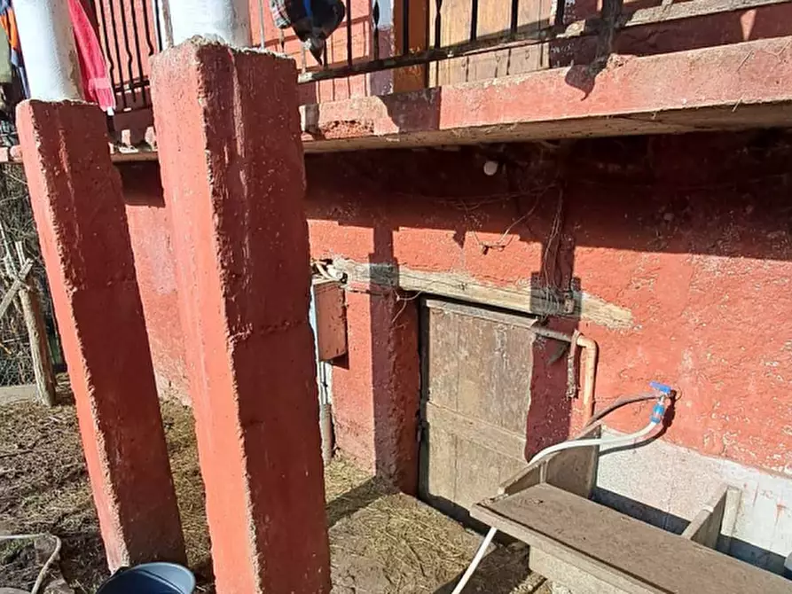 Immagine 4 di Appartamento in vendita  in Località Sagne a Perrero