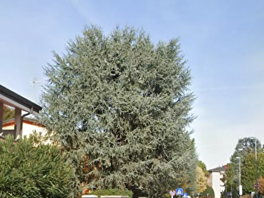 Immagine 7 di Appartamento in vendita  in Via Baracca a Vimercate