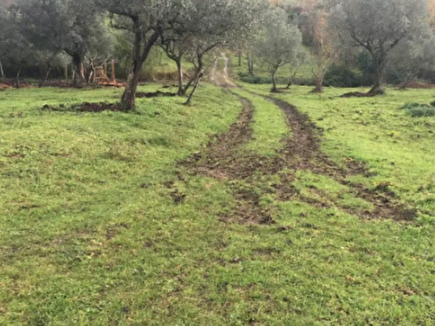 Immagine 9 di Rustico / casale in vendita  in  via Case sparse  a Castello Del Matese