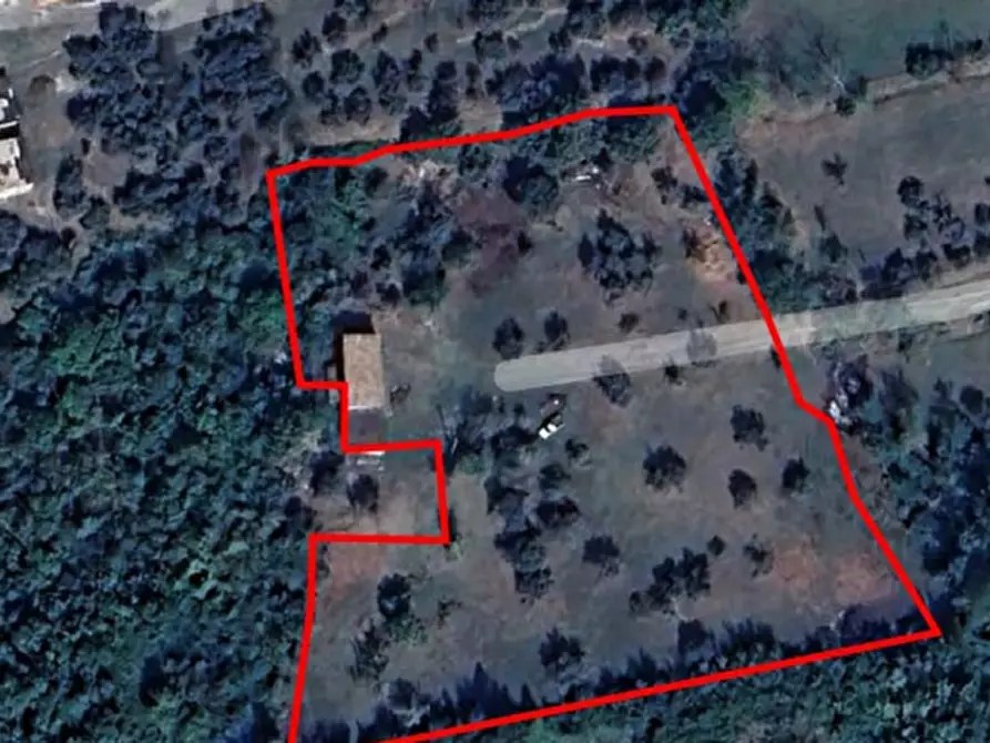 Immagine 10 di Rustico / casale in vendita  in  via Case sparse  a Castello Del Matese