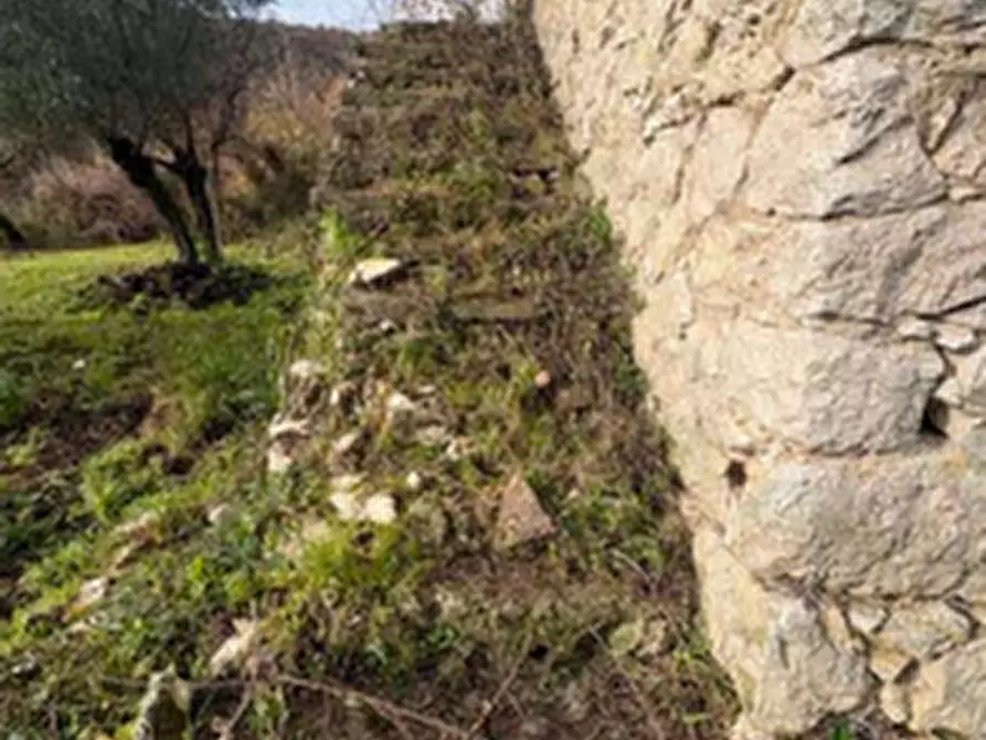 Immagine 4 di Rustico / casale in vendita  in  via Case sparse  a Castello Del Matese