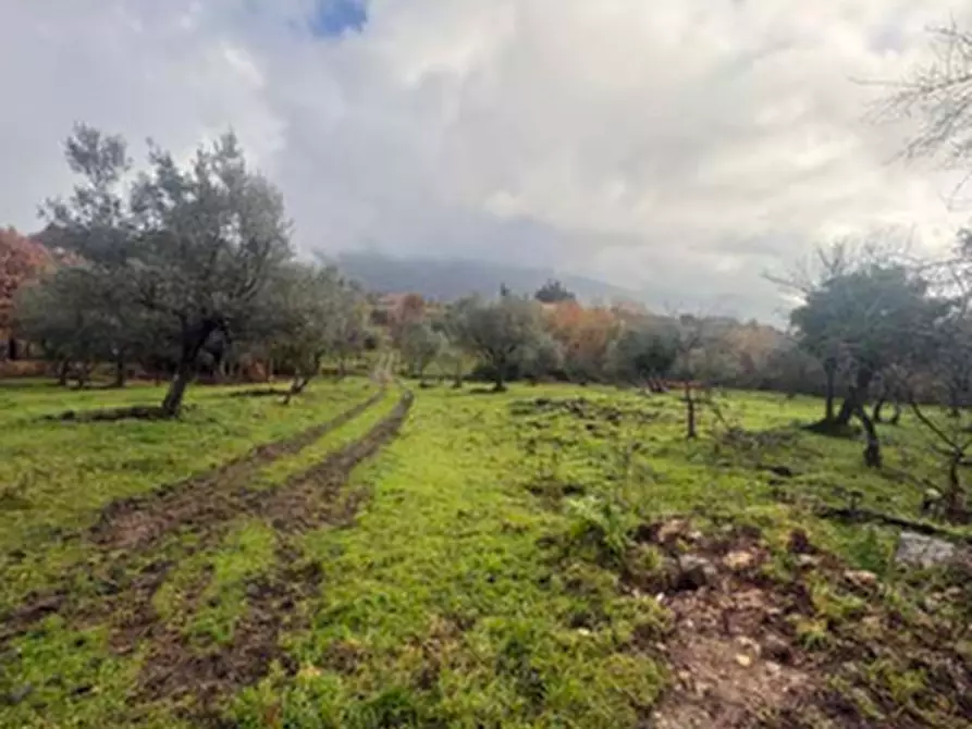 Immagine 12 di Rustico / casale in vendita  in  via Case sparse  a Castello Del Matese