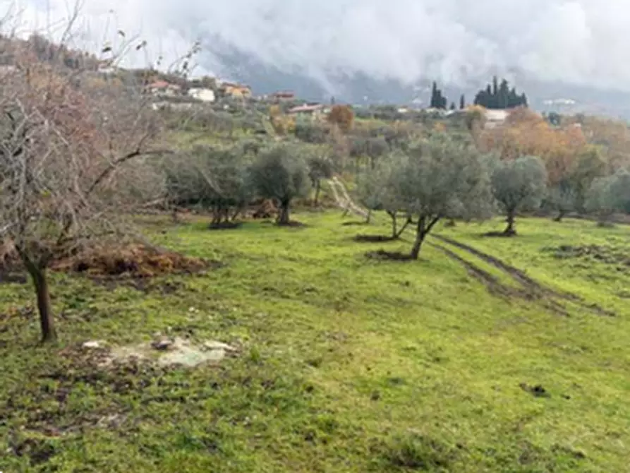 Immagine 13 di Rustico / casale in vendita  in  via Case sparse  a Castello Del Matese