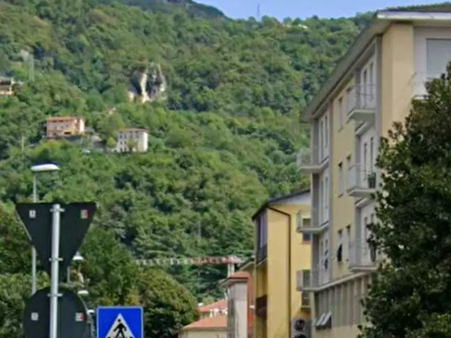Immagine 5 di Terreno agricolo in vendita  in Località Valdagno a Valdagno