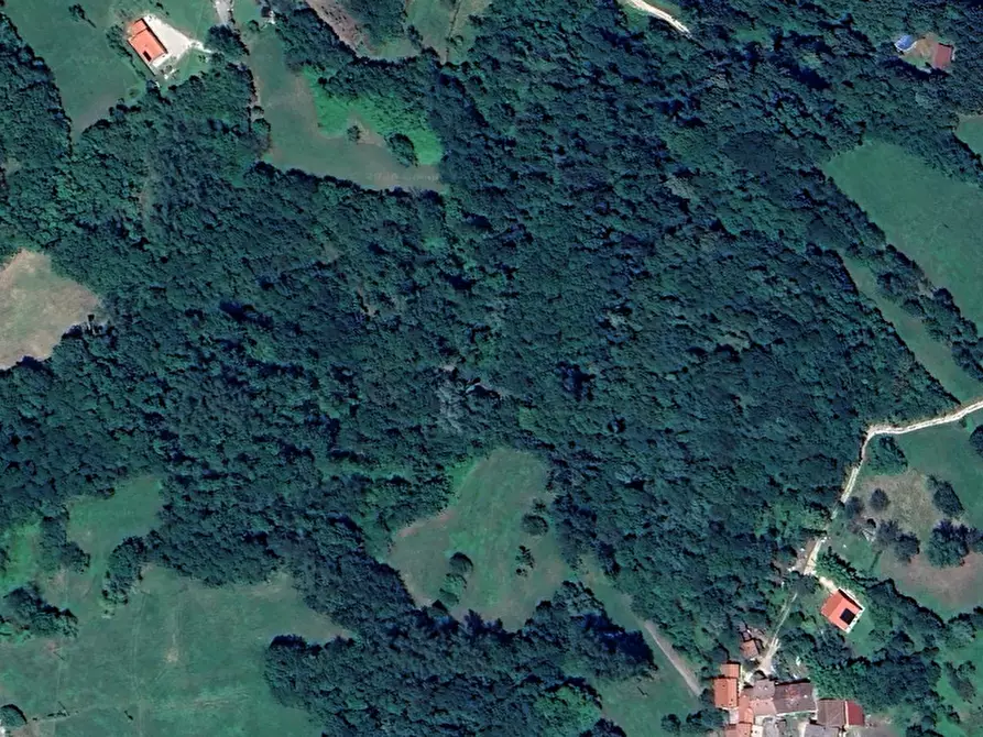 Immagine 3 di Terreno agricolo in vendita  in Contrada Sbricci Giara di Mezzo a Valdagno