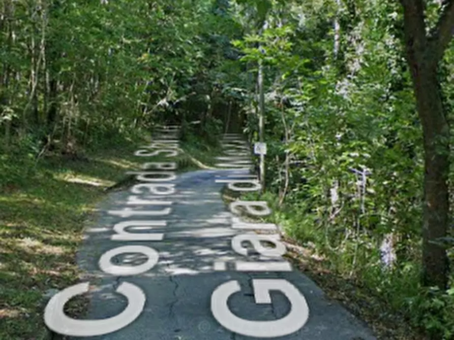 Immagine 5 di Terreno agricolo in vendita  in Contrada Sbricci Giara di Mezzo a Valdagno