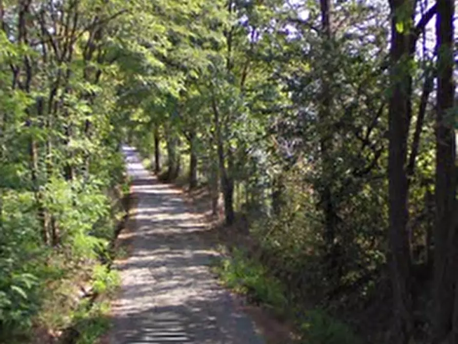 Immagine 3 di Appartamento in vendita  in Regione Prione a Ceva