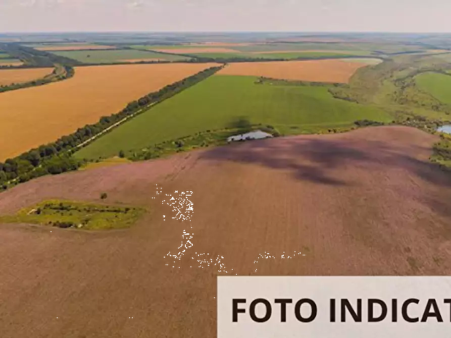 Immagine 12 di Terreno agricolo in vendita  in Via Papa Giovanni Paolo II a Orgiano
