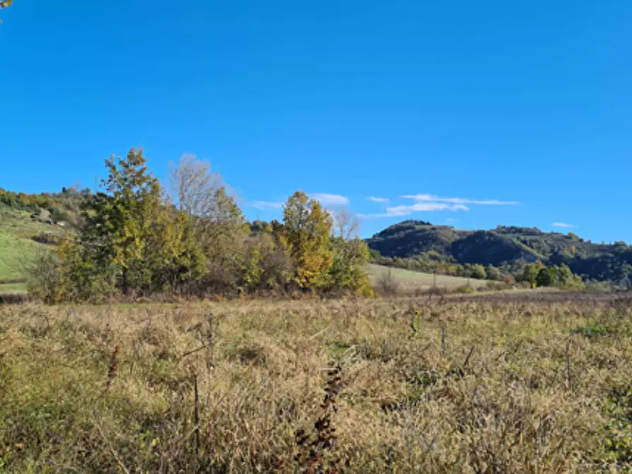 Immagine 2 di Terreno agricolo in vendita  in via Cavaioni a Bologna