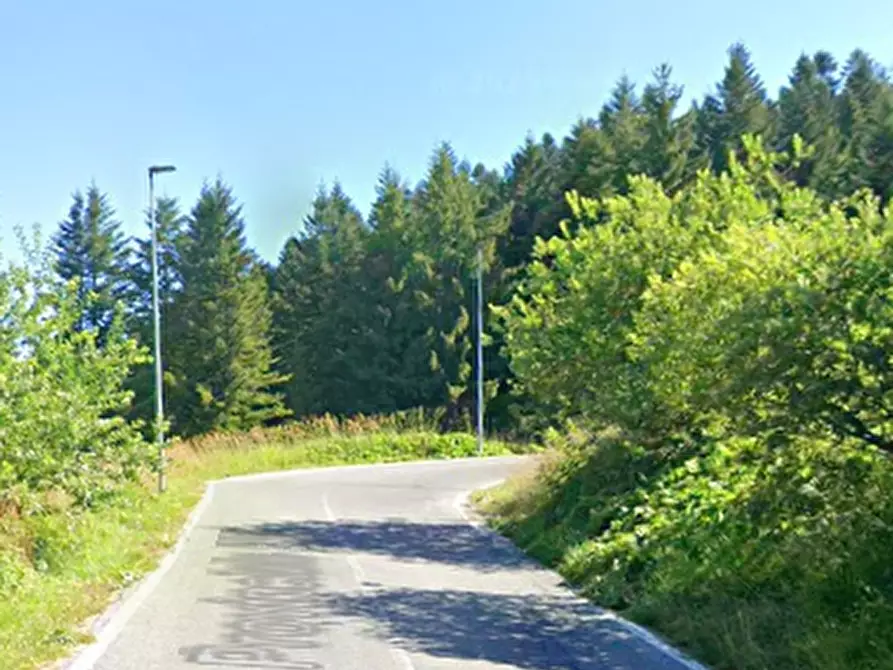Immagine 3 di Appartamento in vendita  in Via Malanotte a Frabosa Soprana