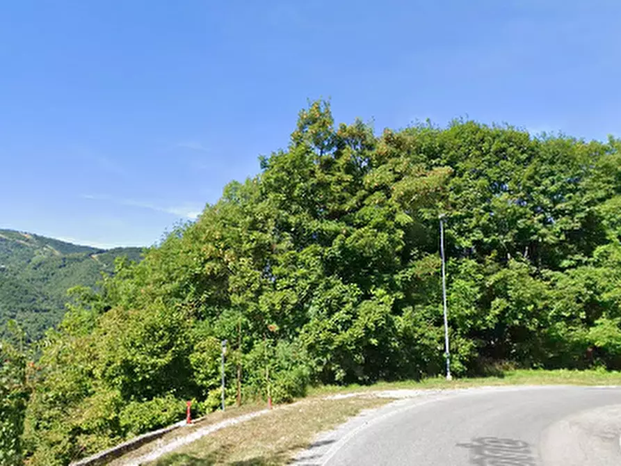 Immagine 7 di Casa indipendente in vendita  in Via Canali a Pamparato