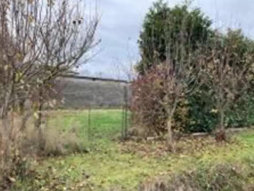 Immagine 3 di Villa in vendita  in Via Nino Bixio a Sermide