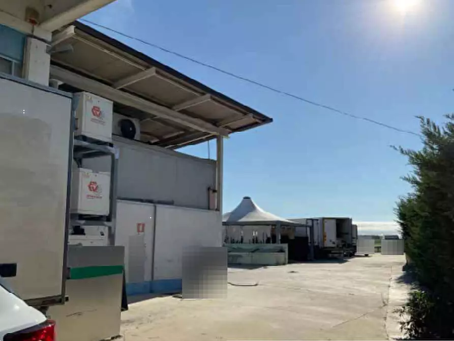 Immagine 6 di Laboratorio in vendita  in Via Cesure a Castel D'ario