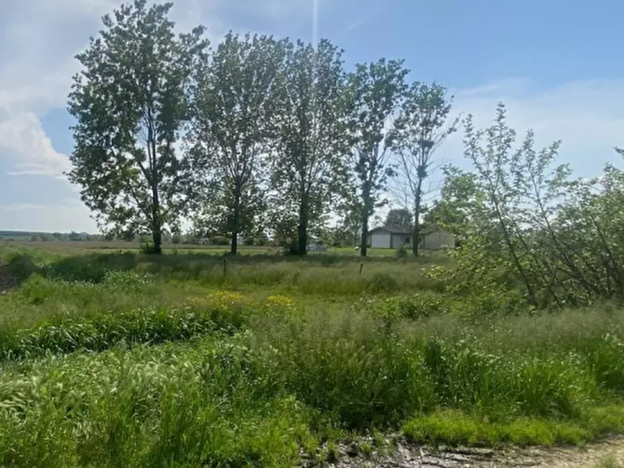 Immagine 3 di Appartamento in vendita  in Via Bruno Buozzi a Bagnolo San Vito