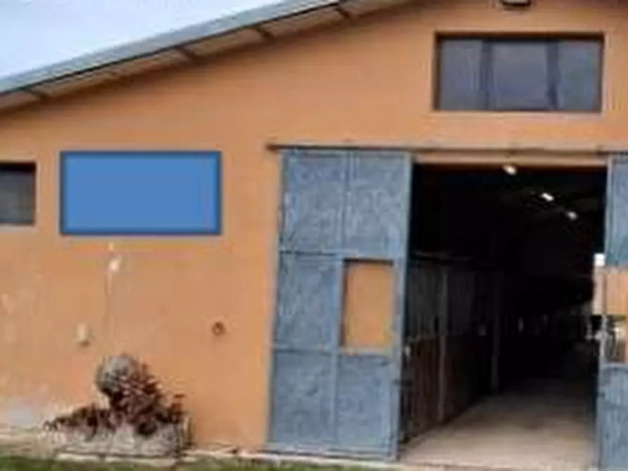 Immagine 2 di Capannone industriale in vendita  in Via Due Ponti  a Morciano Di Romagna