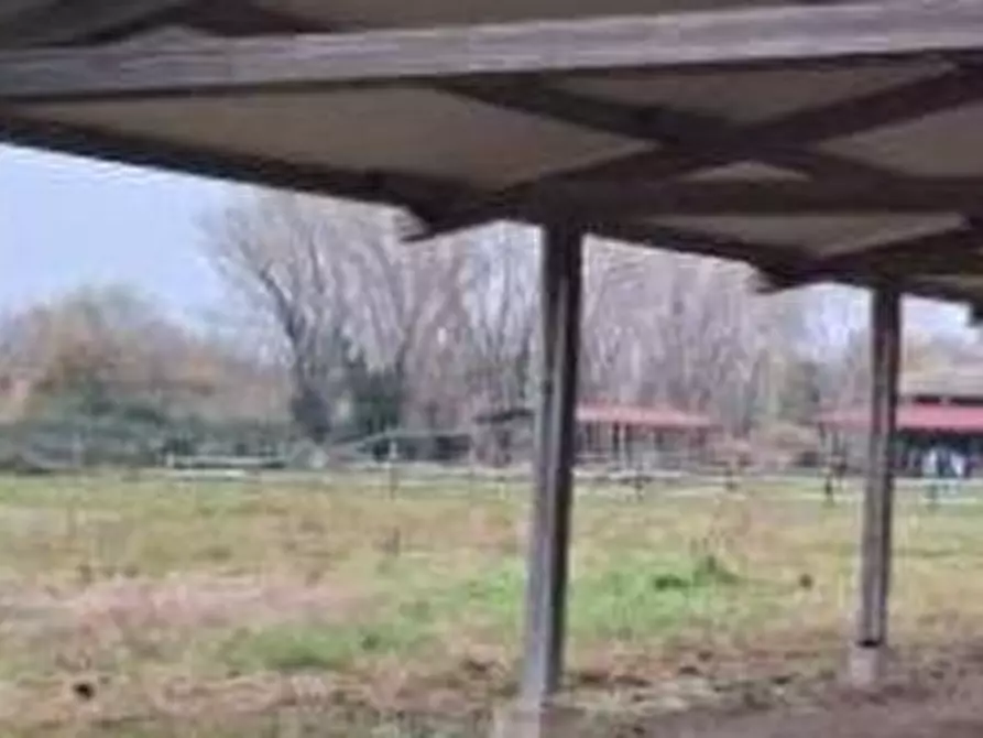 Immagine 7 di Capannone industriale in vendita  in Via Due Ponti  a Morciano Di Romagna
