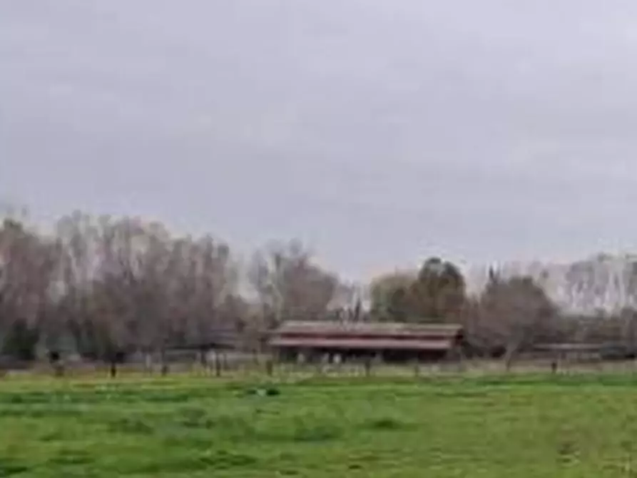 Immagine 8 di Capannone industriale in vendita  in Via Due Ponti  a Morciano Di Romagna