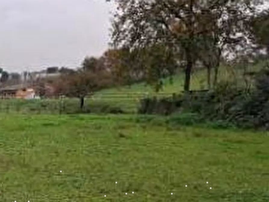 Immagine 9 di Capannone industriale in vendita  in Via Due Ponti  a Morciano Di Romagna