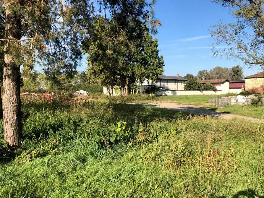Immagine 1 di Terreno agricolo in vendita  in Via Mulazzana a Terranova Dei Passerini