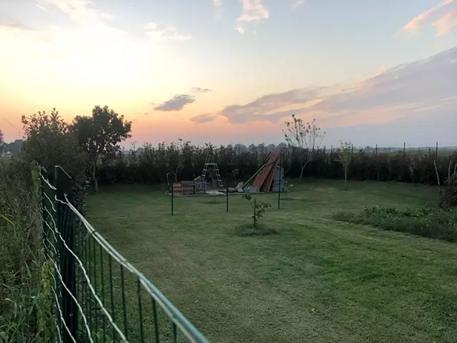 Immagine 4 di Terreno agricolo in vendita  in Via Mulazzana a Terranova Dei Passerini