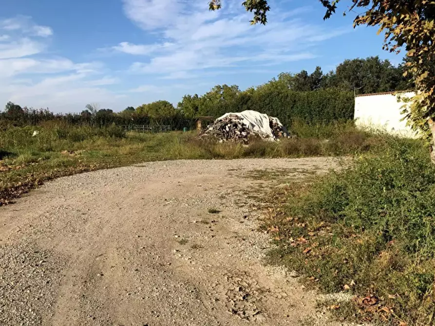 Immagine 5 di Terreno agricolo in vendita  in Via Mulazzana a Terranova Dei Passerini
