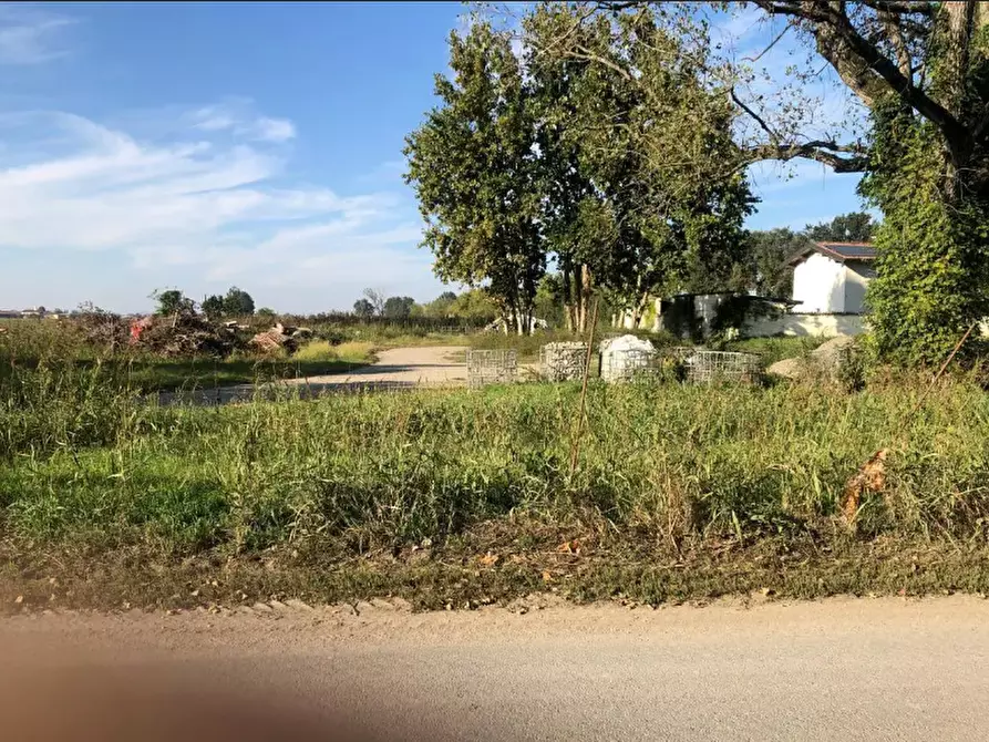 Immagine 6 di Terreno agricolo in vendita  in Via Mulazzana a Terranova Dei Passerini
