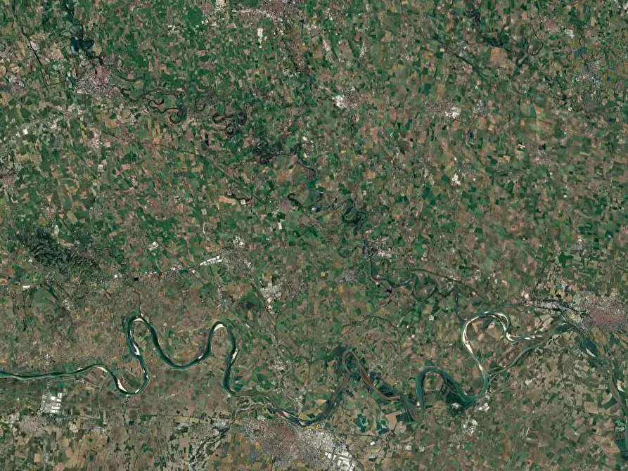 Immagine 9 di Terreno agricolo in vendita  in Via Mulazzana a Terranova Dei Passerini