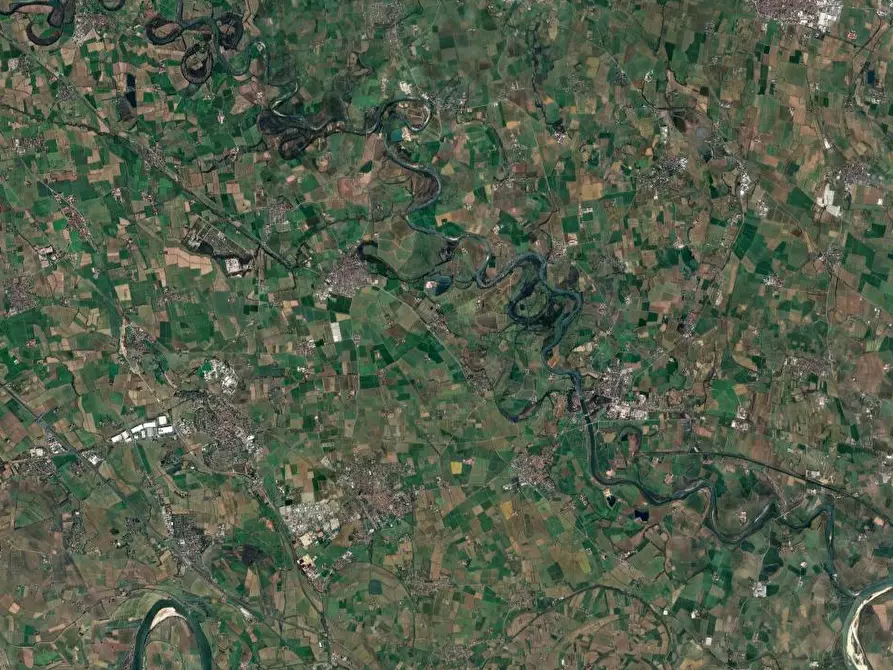 Immagine 10 di Terreno agricolo in vendita  in Via Mulazzana a Terranova Dei Passerini