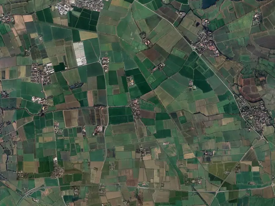 Immagine 12 di Terreno agricolo in vendita  in Via Mulazzana a Terranova Dei Passerini