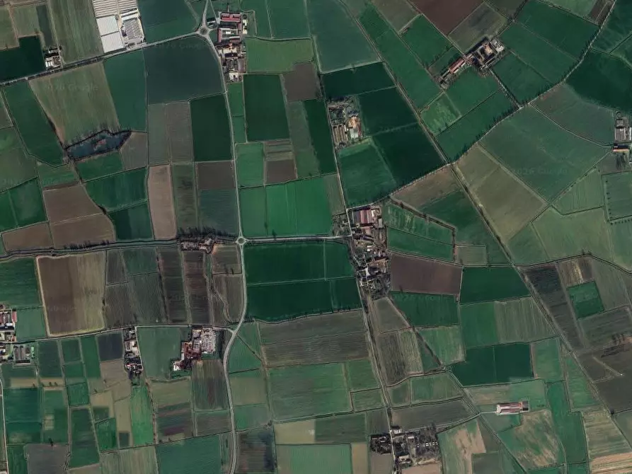 Immagine 13 di Terreno agricolo in vendita  in Via Mulazzana a Terranova Dei Passerini
