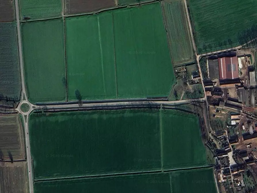 Immagine 15 di Terreno agricolo in vendita  in Via Mulazzana a Terranova Dei Passerini