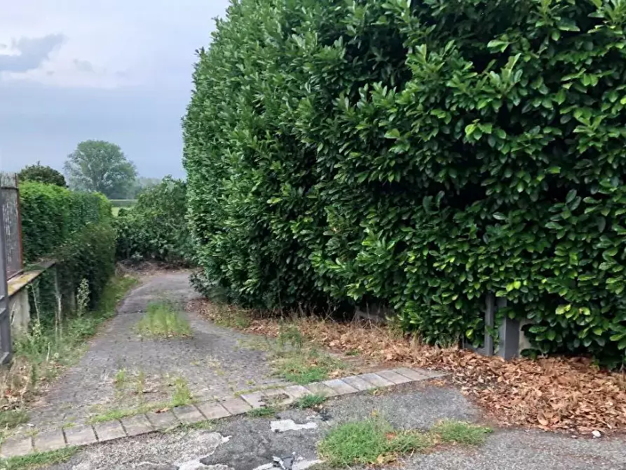 Immagine 9 di Appartamento in vendita  in Via Raffaelli a Codogno