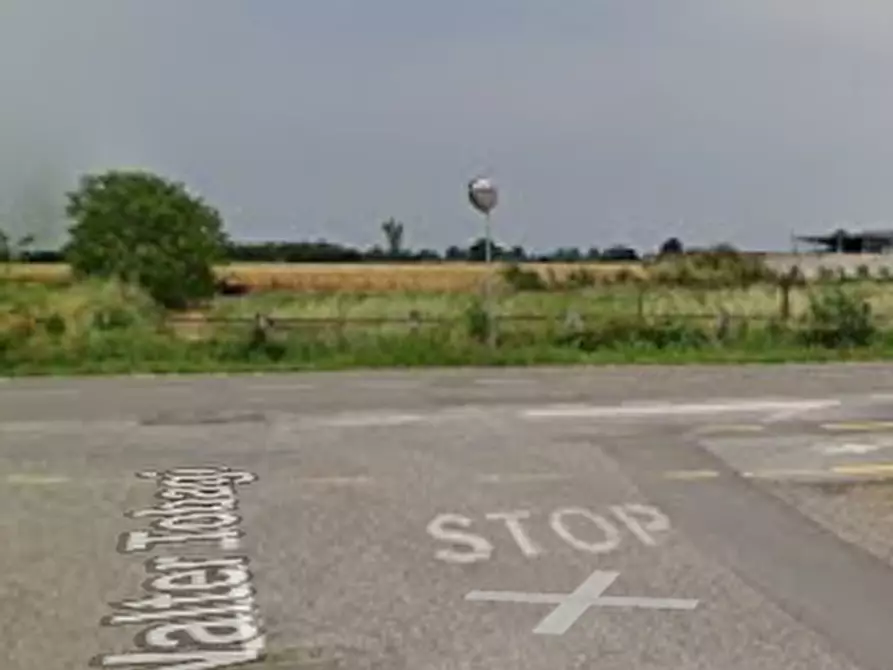 Immagine 5 di Terreno agricolo in vendita  in via Tobagi a San Cipriano Po