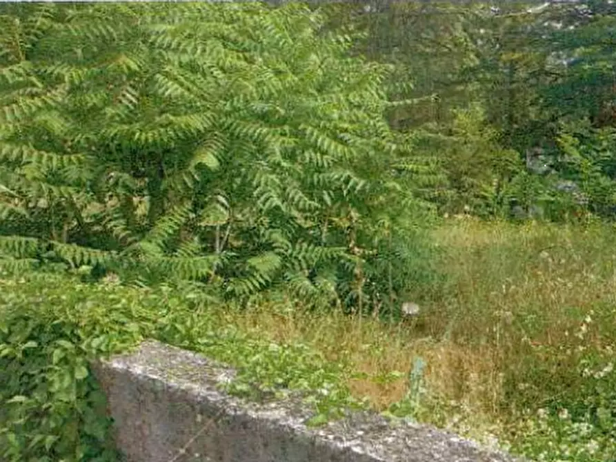 Immagine 4 di Terreno edificabile in vendita  in Via Gerbidi a Godiasco