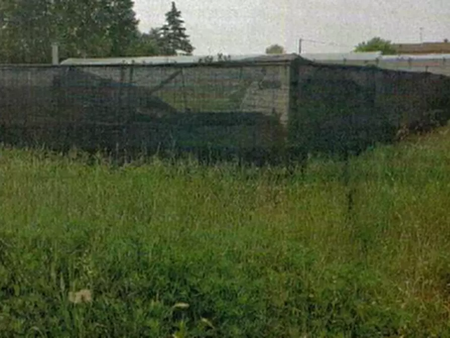 Immagine 7 di Terreno edificabile in vendita  in Via Piave a Scaldasole