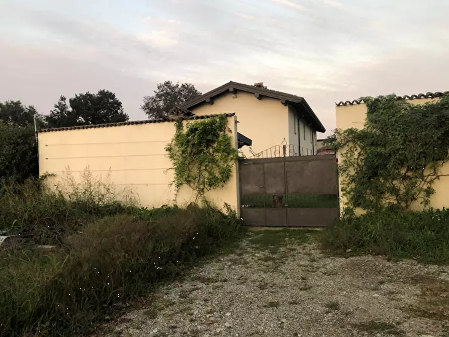 Immagine 1 di Terreno agricolo in vendita  in Via Mulazzana a Terranova Dei Passerini