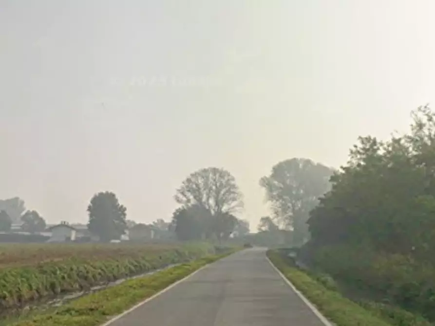 Immagine 2 di Terreno agricolo in vendita  in Via Mulazzana a Terranova Dei Passerini