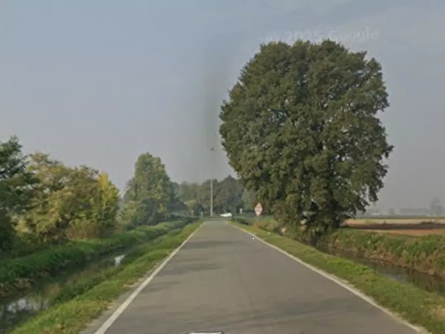 Immagine 3 di Terreno agricolo in vendita  in Via Mulazzana a Terranova Dei Passerini