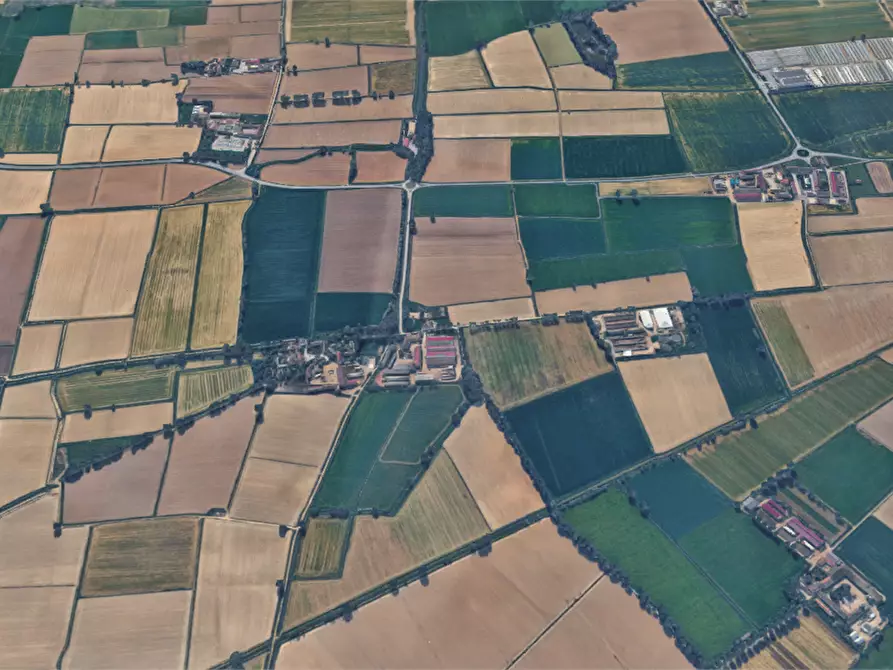 Immagine 4 di Terreno agricolo in vendita  in Via Mulazzana a Terranova Dei Passerini