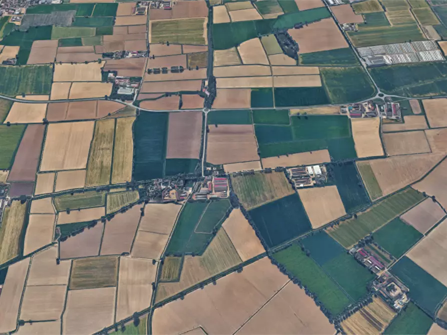 Immagine 5 di Terreno agricolo in vendita  in Via Mulazzana a Terranova Dei Passerini