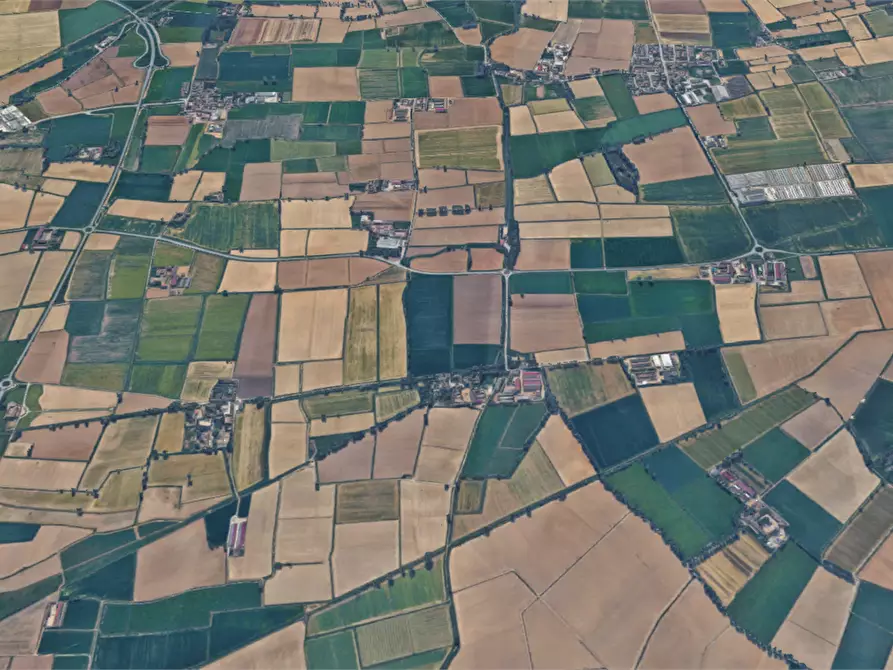 Immagine 6 di Terreno agricolo in vendita  in Via Mulazzana a Terranova Dei Passerini