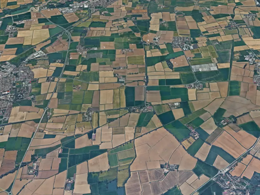Immagine 7 di Terreno agricolo in vendita  in Via Mulazzana a Terranova Dei Passerini