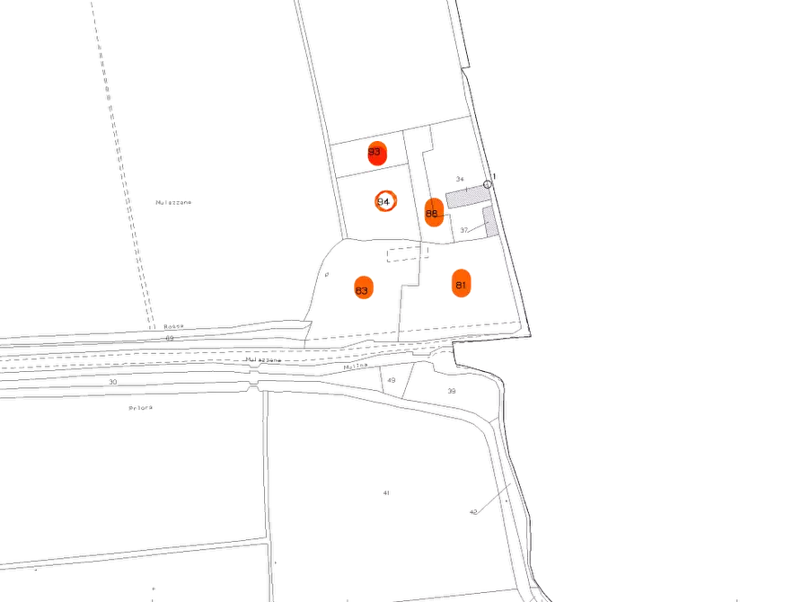 Immagine 8 di Terreno agricolo in vendita  in Via Mulazzana a Terranova Dei Passerini