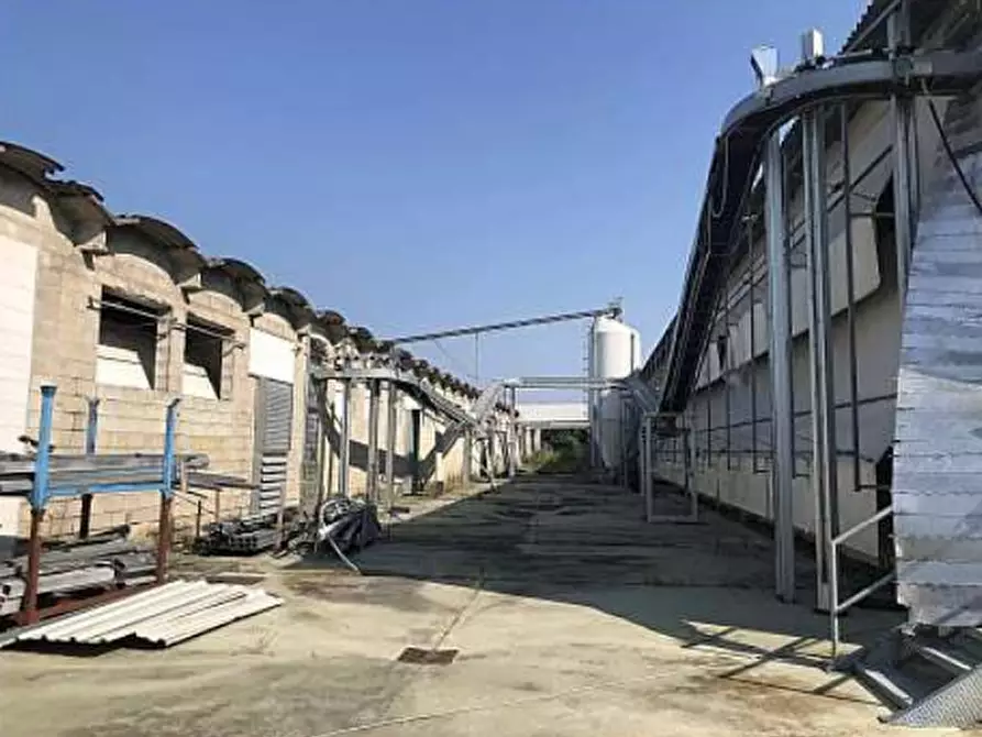 Immagine 3 di Capannone industriale in vendita  in Via Casaretta a Cittadella