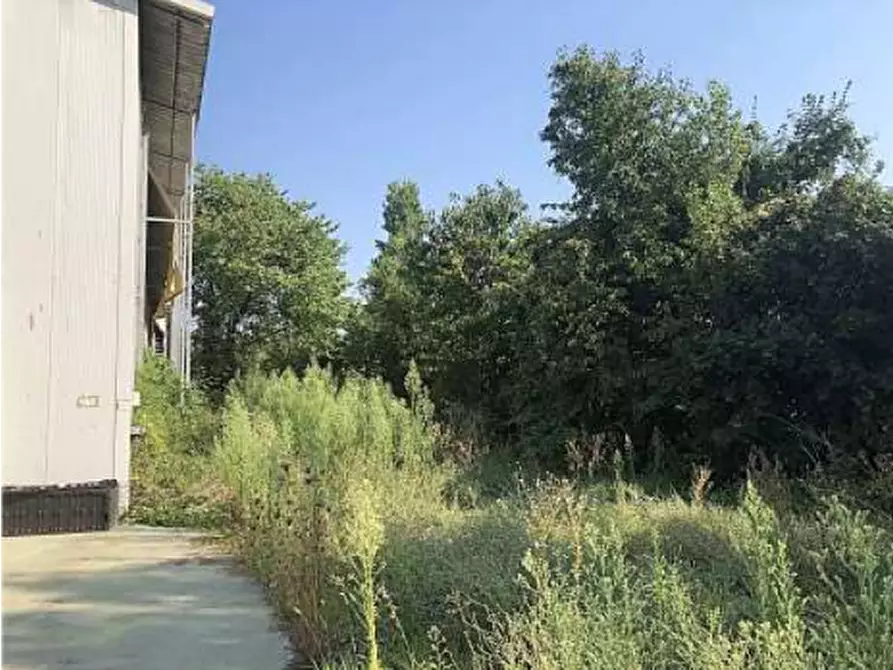 Immagine 5 di Capannone industriale in vendita  in Via Casaretta a Cittadella