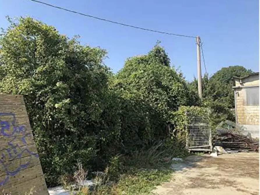 Immagine 6 di Capannone industriale in vendita  in Via Casaretta a Cittadella
