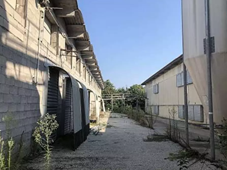 Immagine 19 di Capannone industriale in vendita  in Via Casaretta a Cittadella