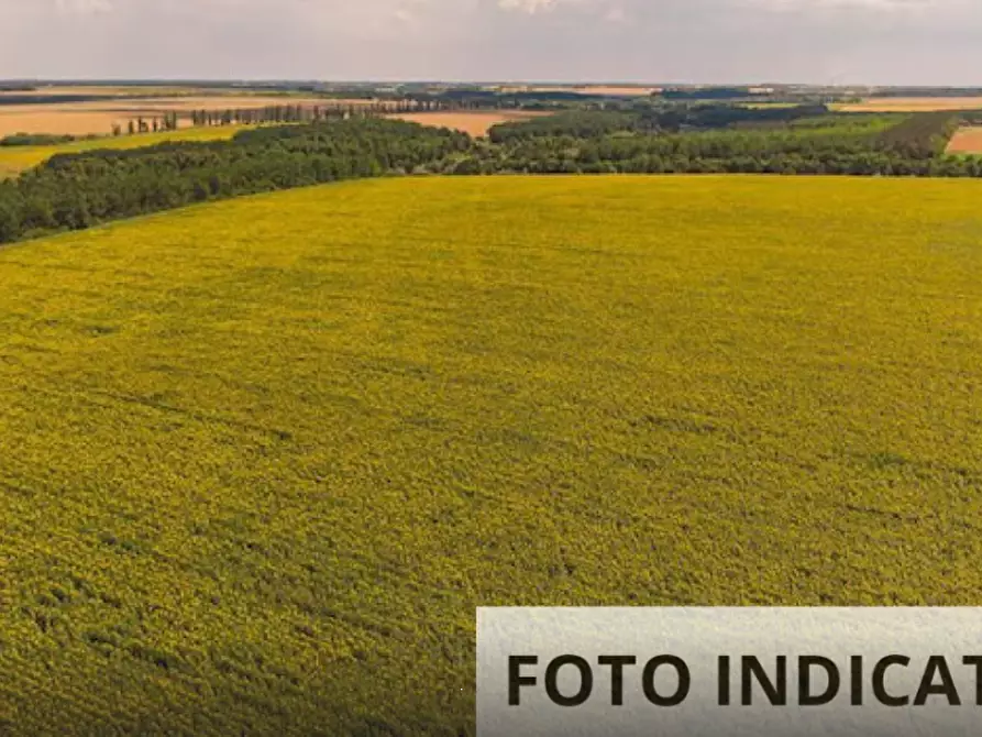 Immagine 6 di Terreno agricolo in vendita  in Frazione Ravignano a Foligno