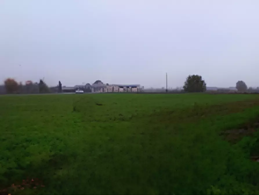 Immagine 2 di Terreno edificabile in vendita  in Frazione Bargnano a Corzano